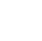 icon strategic